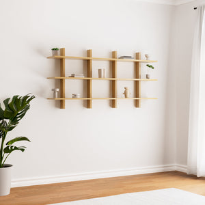 Altitude Wall Shelf & Cabinet