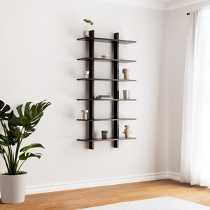 Altitude Wall Shelf & Cabinet