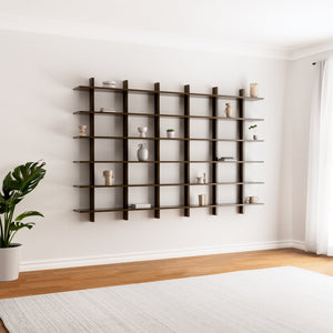 Altitude Wall Shelf & Cabinet