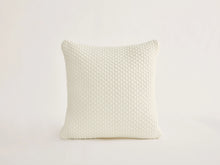 Load image into Gallery viewer, Quinn Cushion
