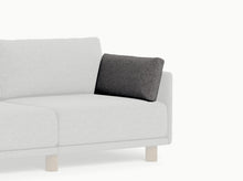 Load image into Gallery viewer, Luna - Replacement Cover &amp; Cushion
